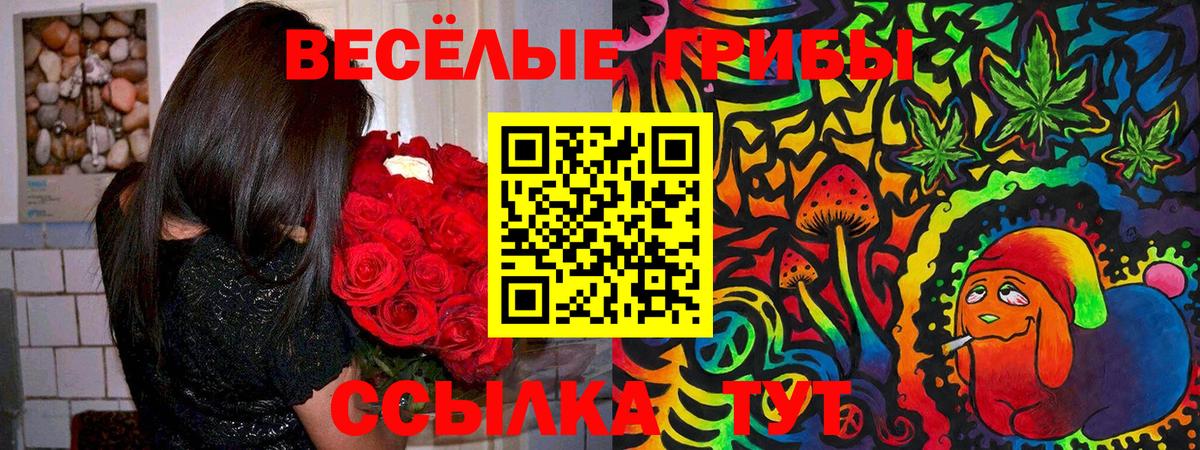 Галлюциногенные грибы прущие грибы Россия