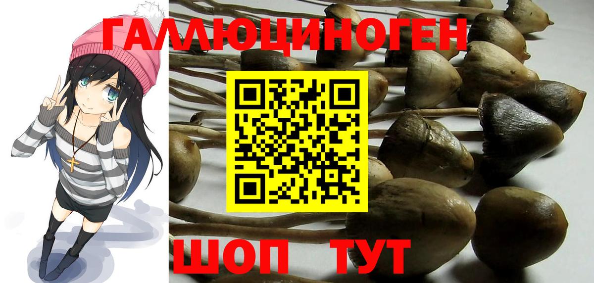 Россия  ГАШ  Марихуана  Меф  Вход с VPN  A-PVP СОЛЬ   Меф кристаллы  КОКАИН 