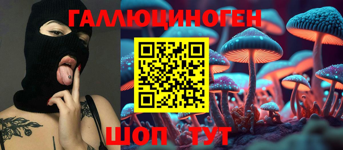 Галлюциногенные грибы мицелий  Вход с VPN  Россия 